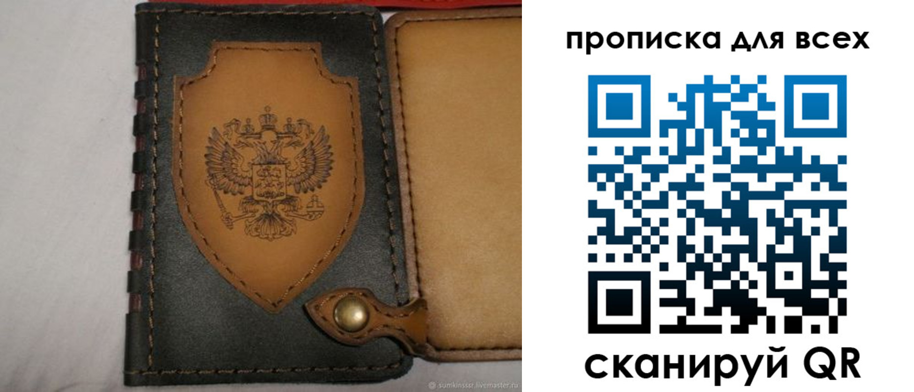 прописка для школы в Тольятти